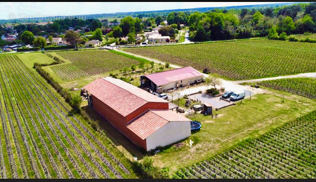 Commerce à CISSAC-MEDOC