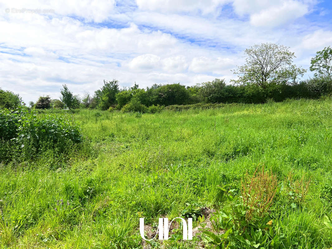 Terrain à PERIERS-EN-AUGE