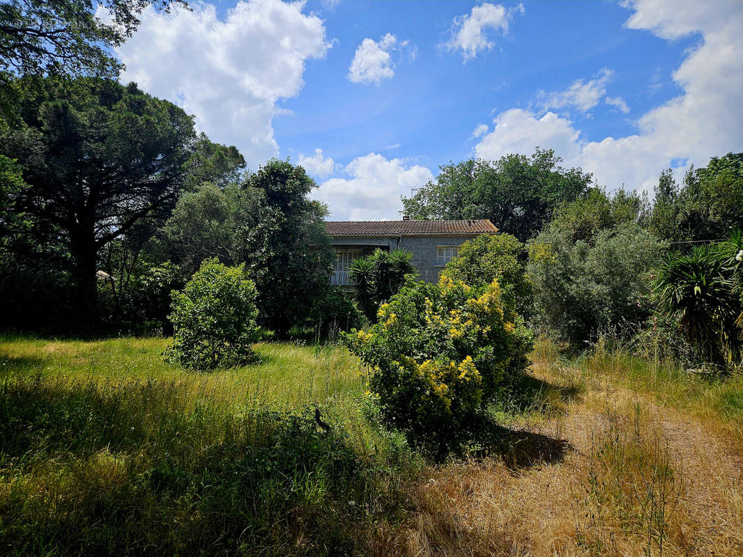 Maison à PRUNELLI-DI-FIUMORBO