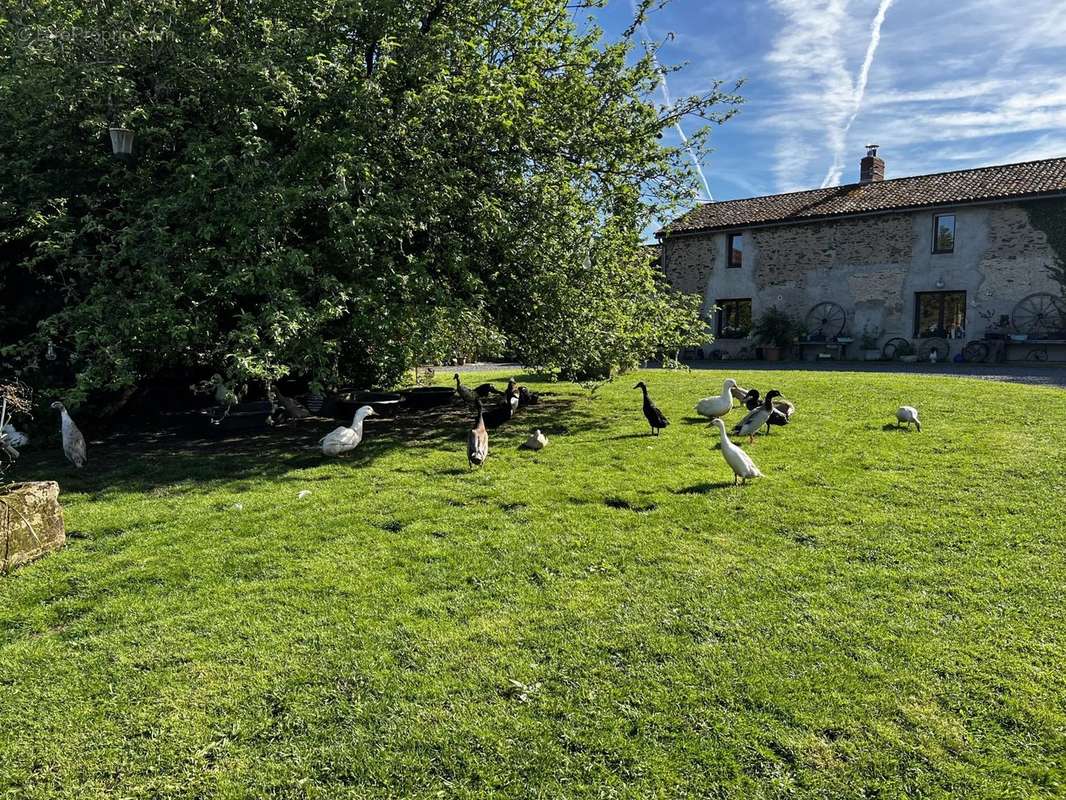 Maison à BUSSIERE-POITEVINE