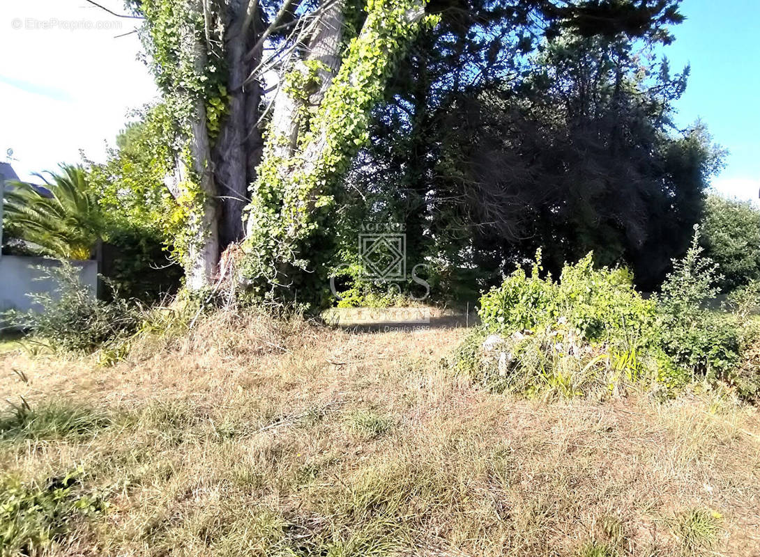 Terrain à SAINT-GILDAS-DE-RHUYS