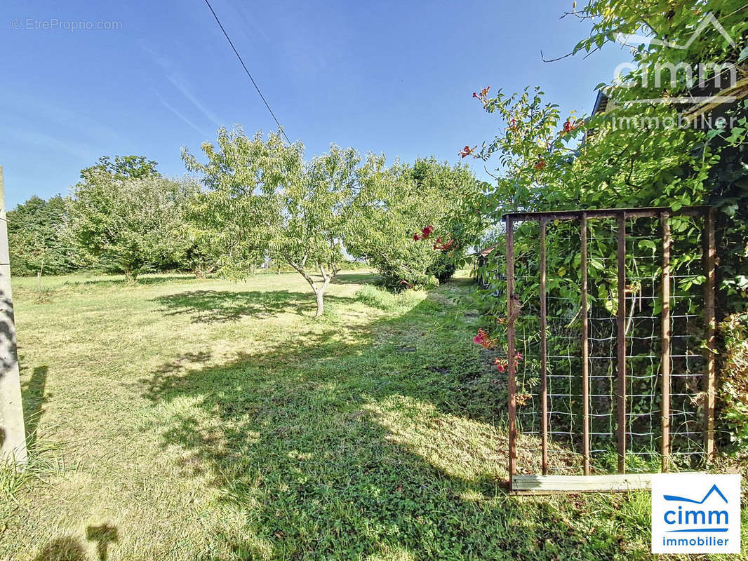 Jardin et potager  - Maison à NOYAL-CHATILLON-SUR-SEICHE