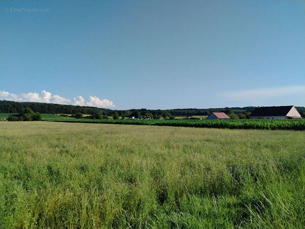 Terrain à CRAMANS