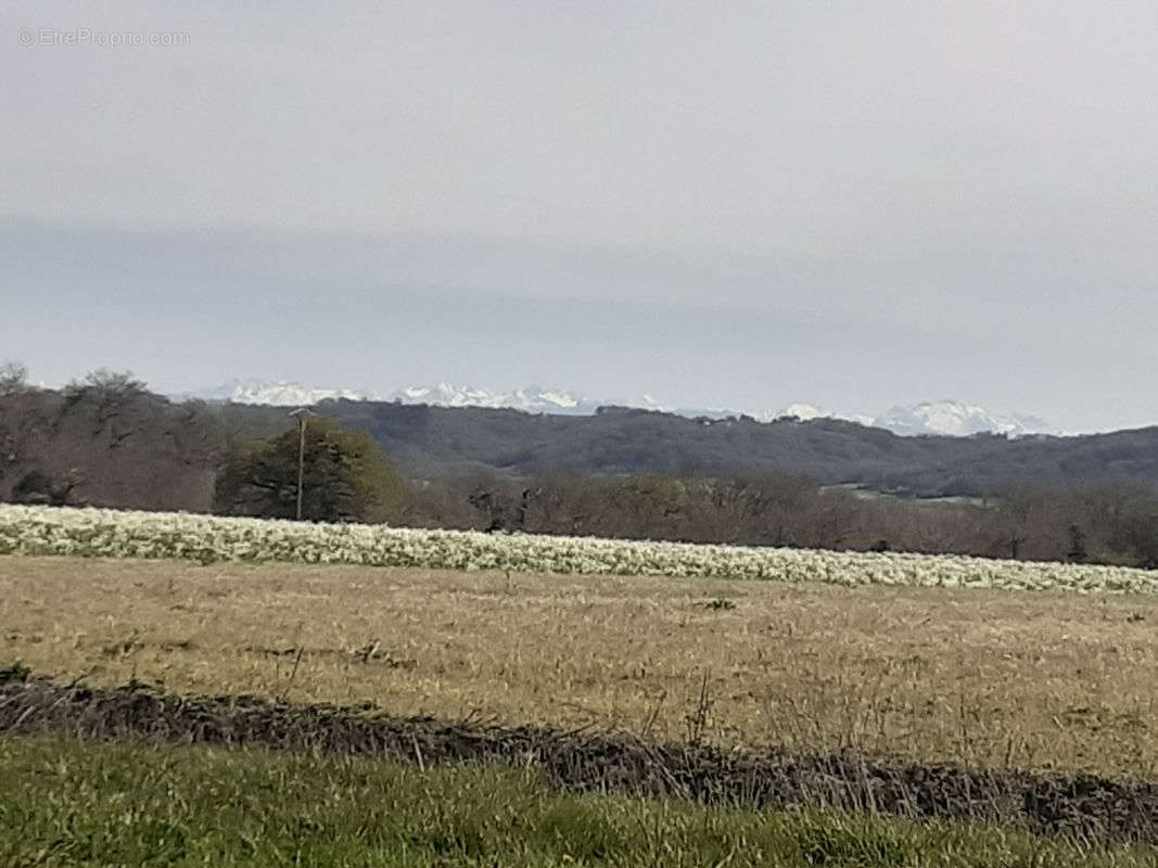 Terrain à LABATUT