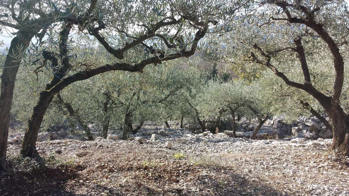 Terrain à SAINT-HIPPOLYTE-DU-FORT