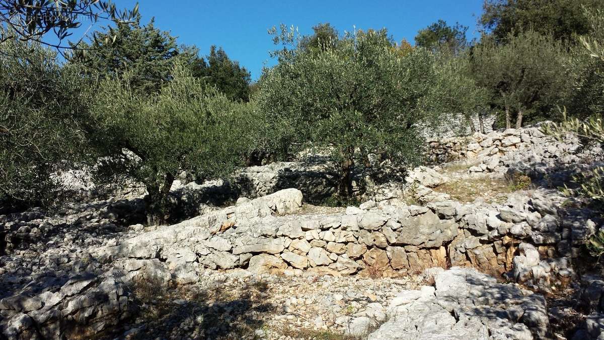 Terrain à SAINT-HIPPOLYTE-DU-FORT