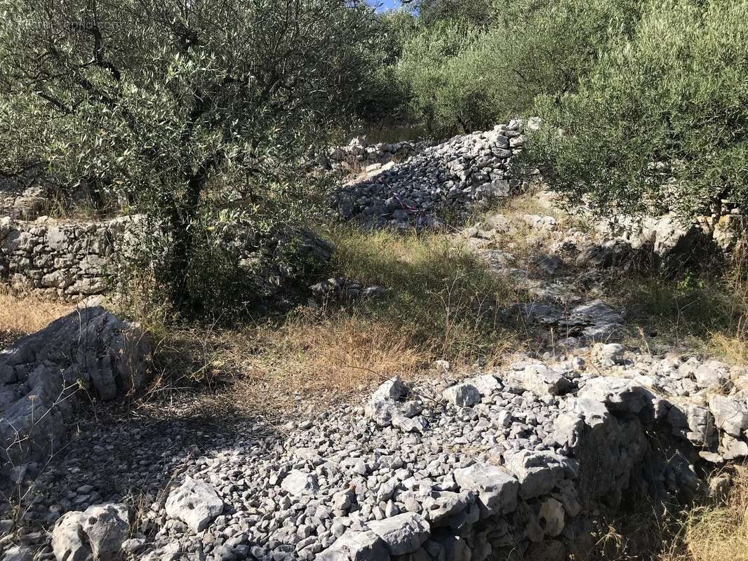 Terrain à SAINT-HIPPOLYTE-DU-FORT