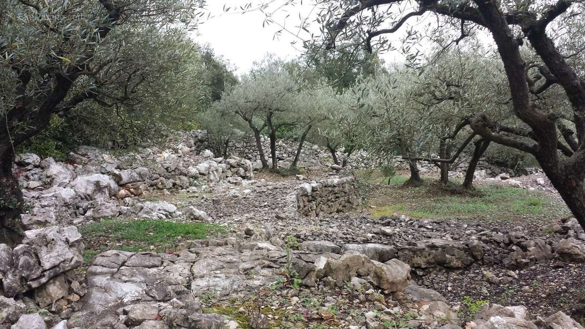 Terrain à SAINT-HIPPOLYTE-DU-FORT