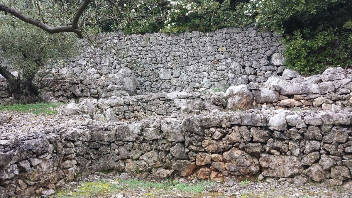 Terrain à SAINT-HIPPOLYTE-DU-FORT