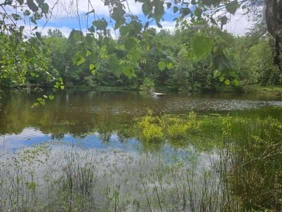 Terrain à CHALEIX