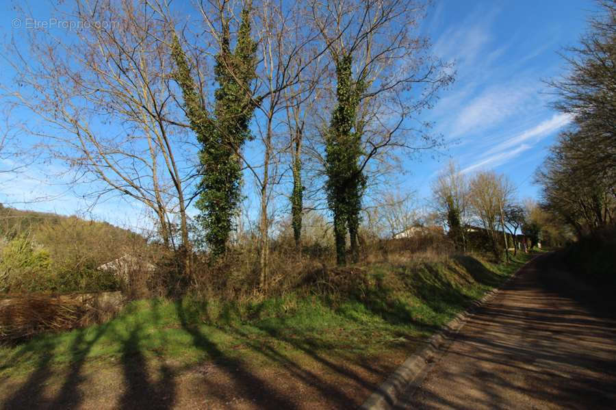 Terrain à BRINON-SUR-BEUVRON