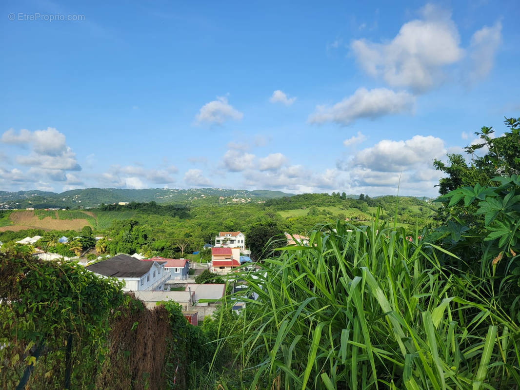 Terrain à RIVIERE-SALEE