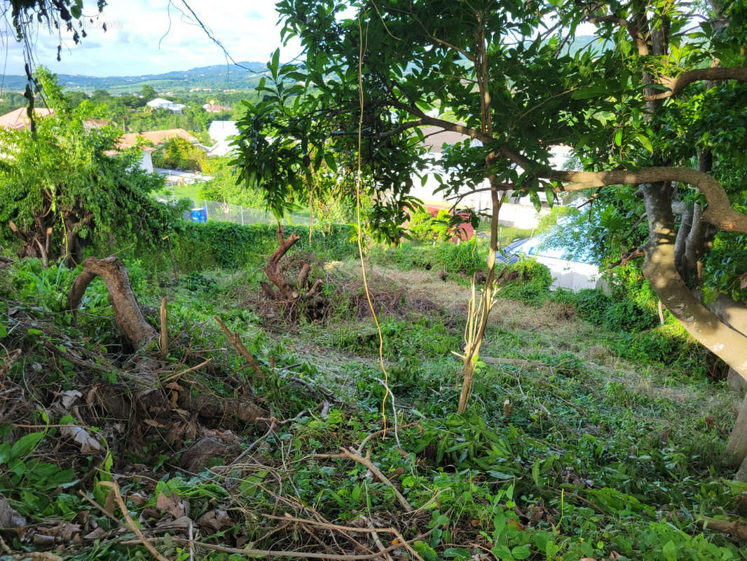 Terrain à RIVIERE-SALEE