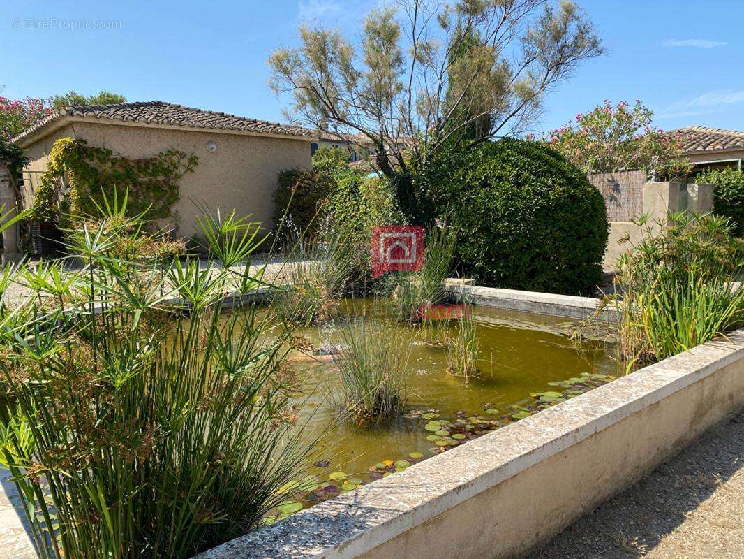 Maison à SAINT-REMY-DE-PROVENCE