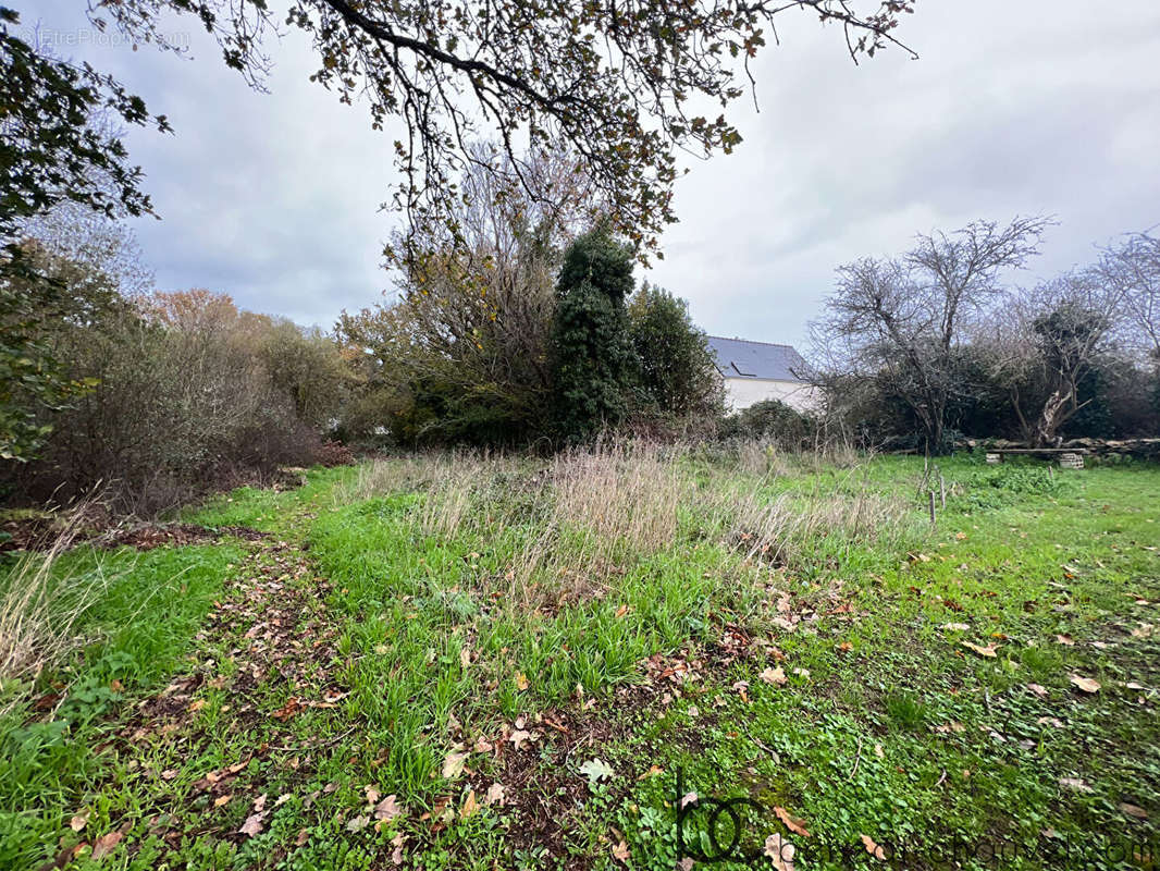 Terrain à SARZEAU