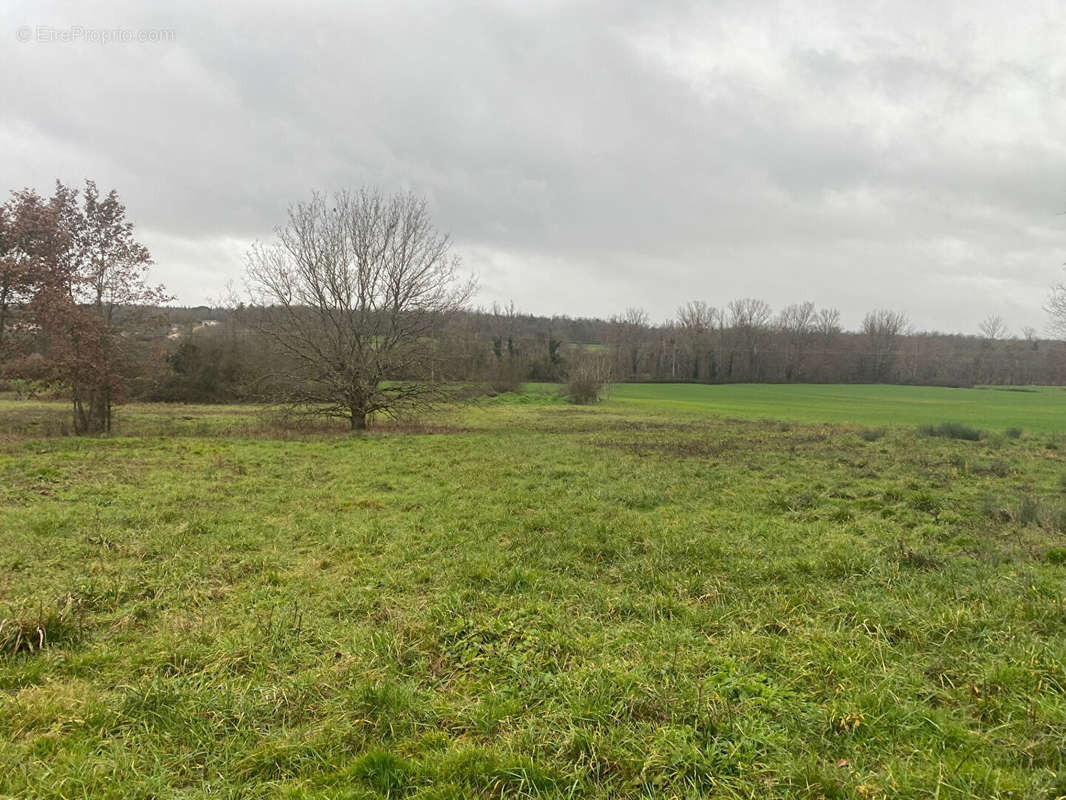 Terrain à MONTAUBAN