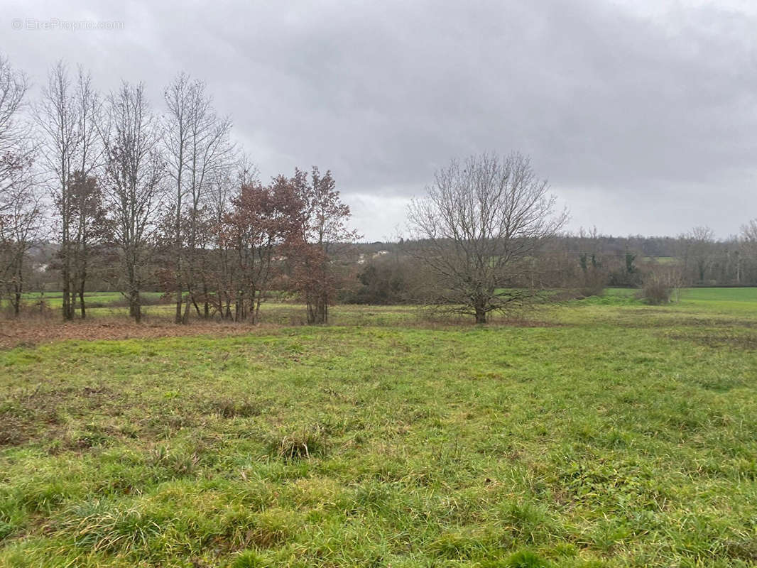 Terrain à MONTAUBAN