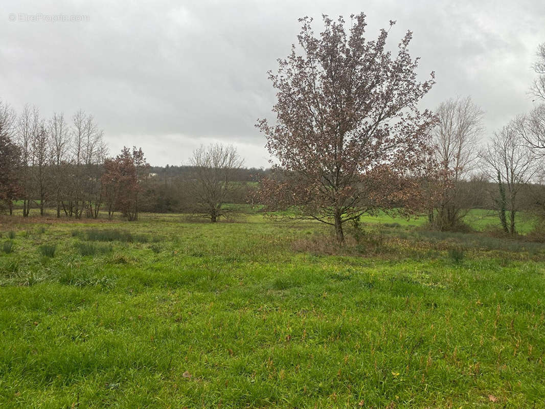 Terrain à MONTAUBAN