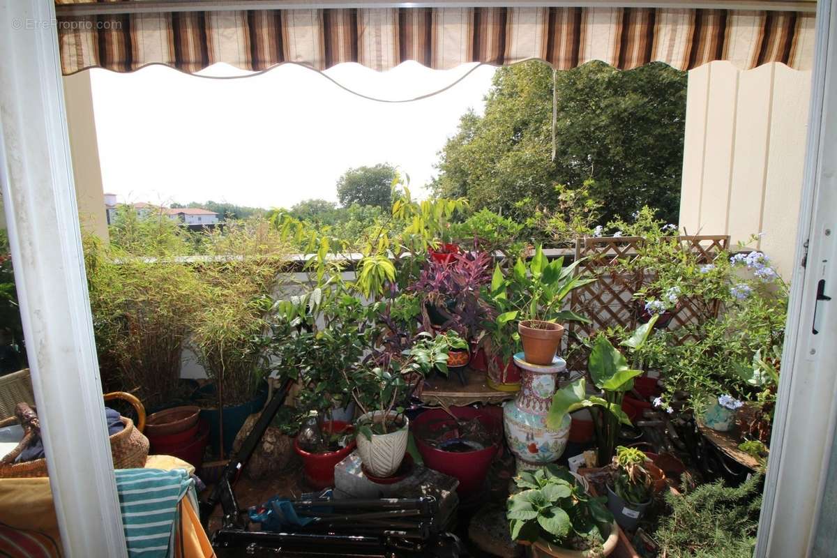 Appartement à BAYONNE