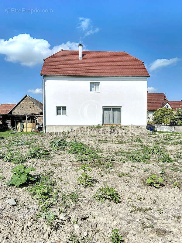 Maison à BALDENHEIM