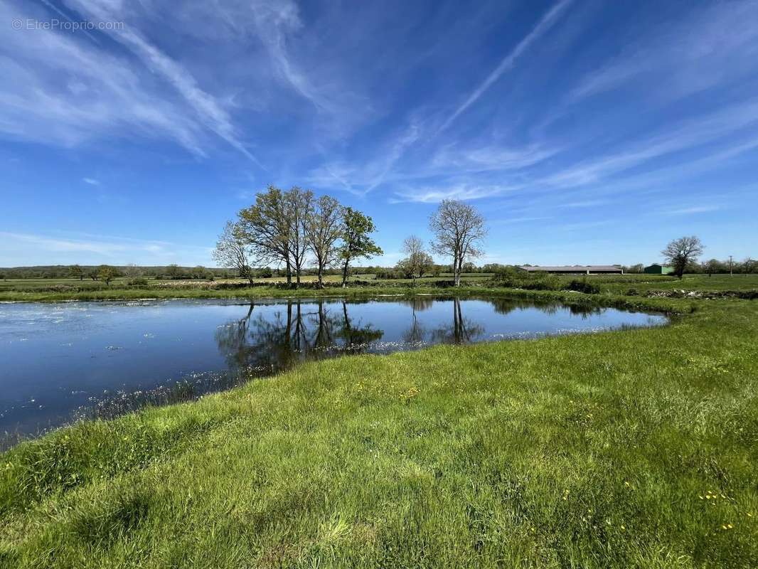 Terrain à LIERNAIS