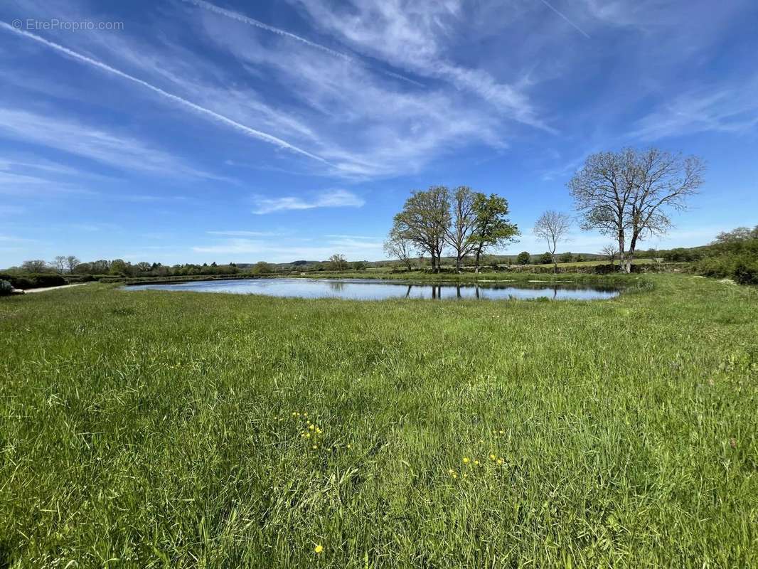 Terrain à LIERNAIS