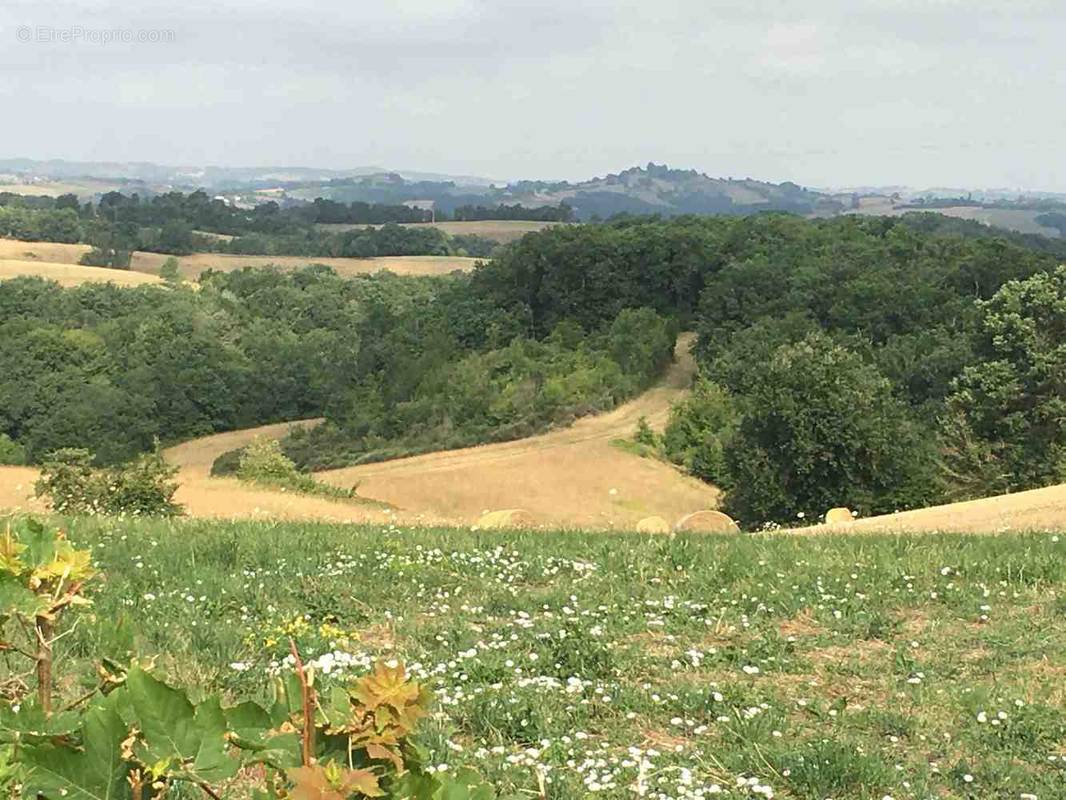 Terrain à CASTERA-VIGNOLES