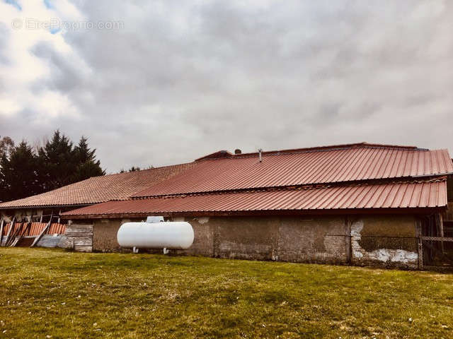 Maison à CASTERA-VIGNOLES