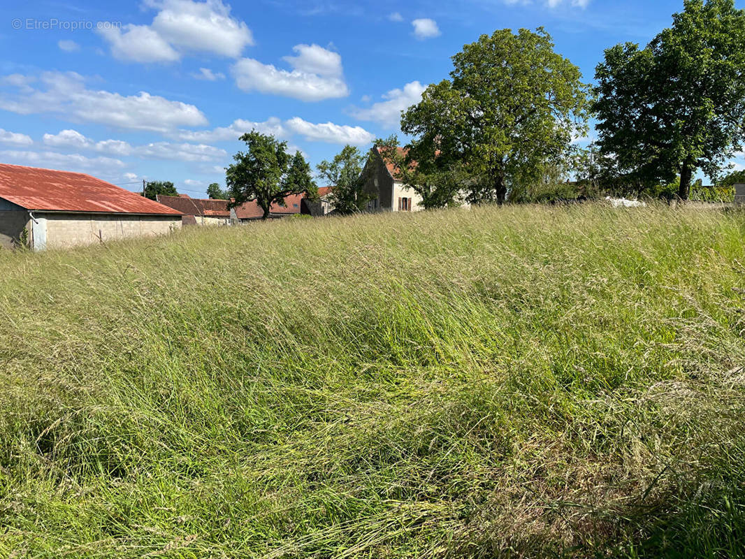 Terrain à CHAUMERCENNE