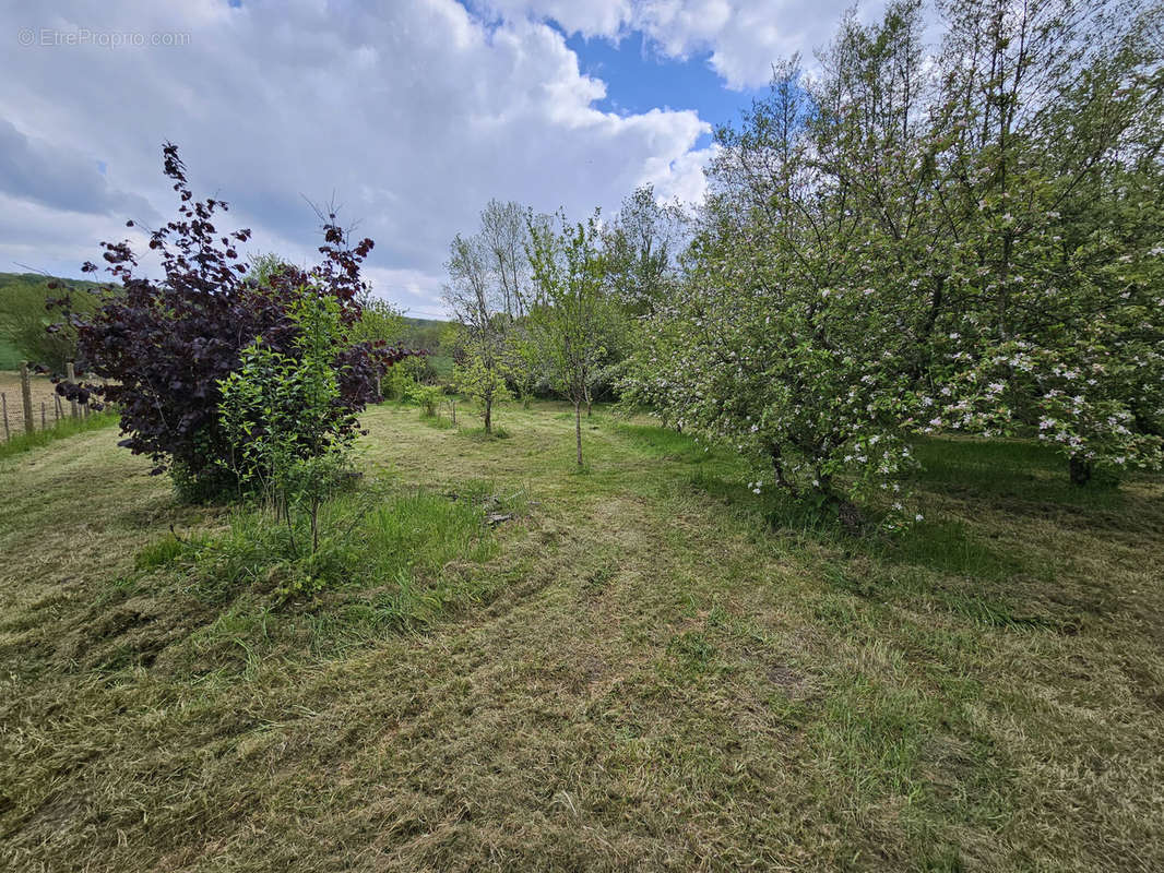 Terrain à VILLENEUVE-SUR-BELLOT