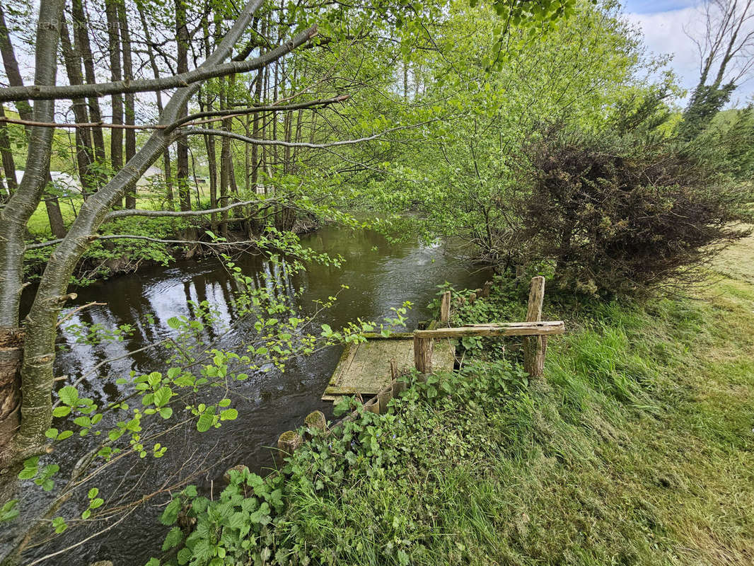 Terrain à VILLENEUVE-SUR-BELLOT