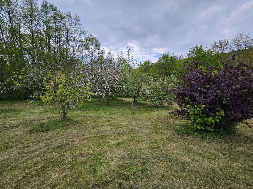 Terrain à VILLENEUVE-SUR-BELLOT