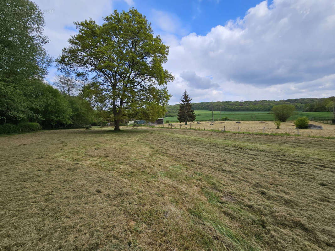 Terrain à VILLENEUVE-SUR-BELLOT