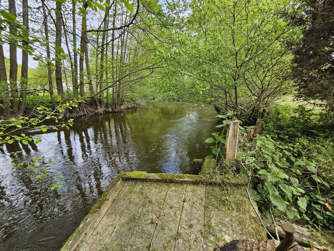 Terrain à VILLENEUVE-SUR-BELLOT