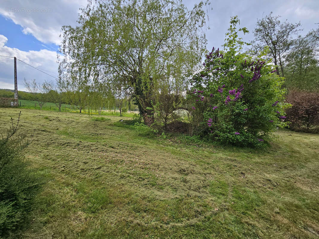 Terrain à VILLENEUVE-SUR-BELLOT