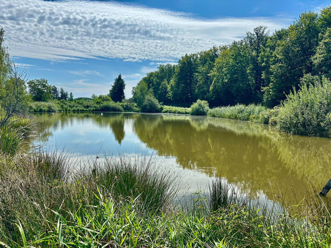 Terrain à LUXEUIL-LES-BAINS