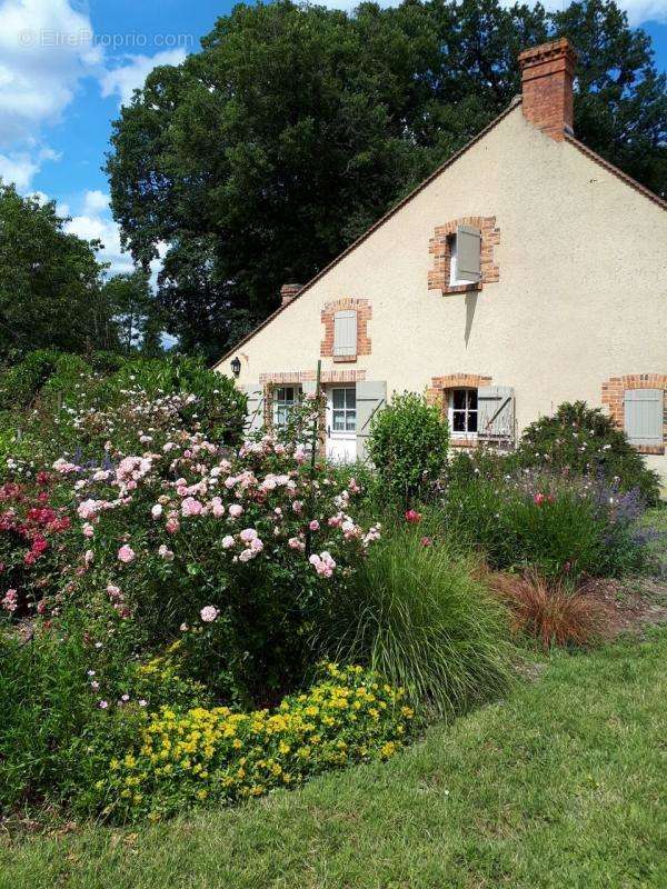 Maison à ROMORANTIN-LANTHENAY