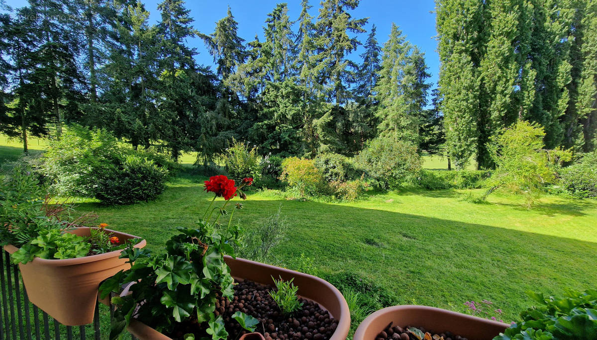 Appartement à RUEIL-MALMAISON