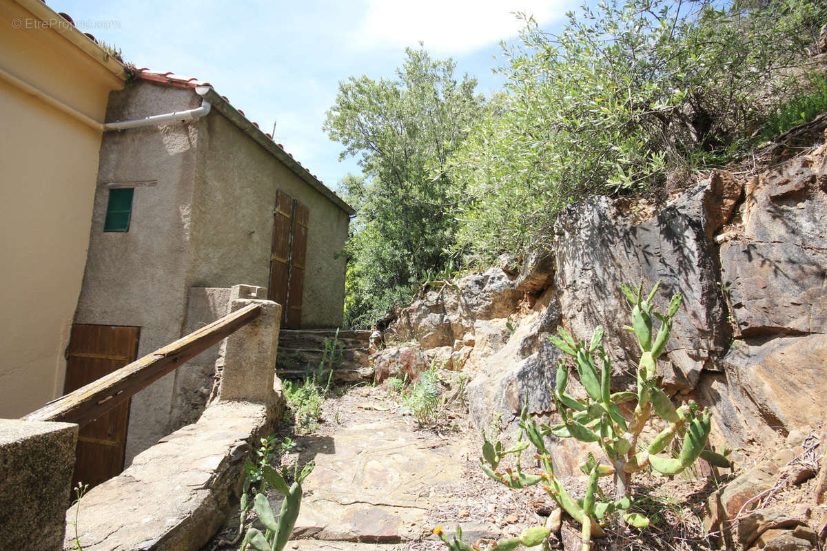 Maison à COLLIOURE