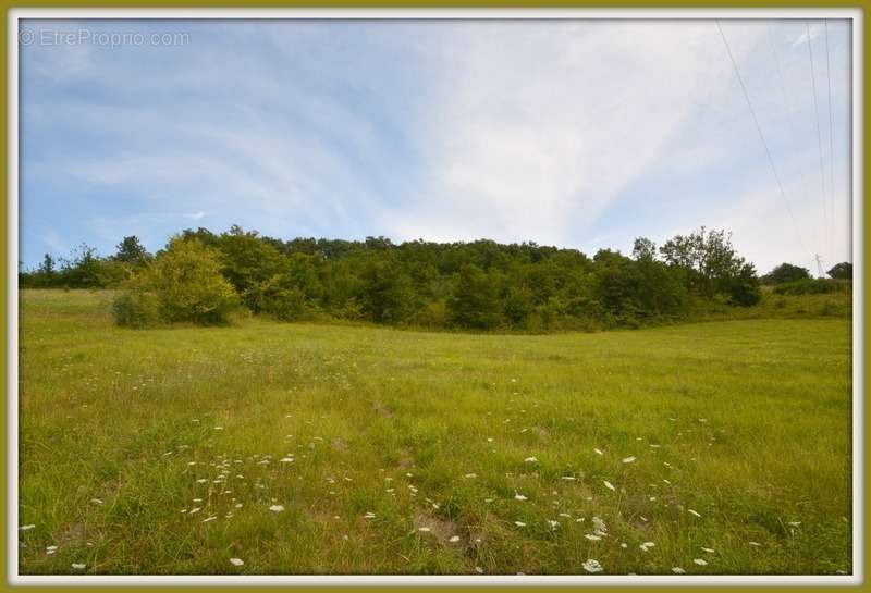 Terrain à BON-ENCONTRE