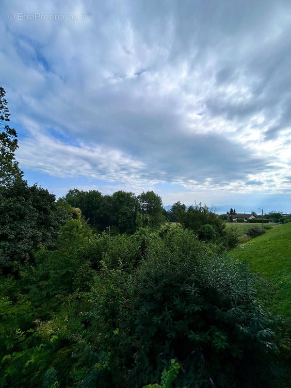 Appartement à NEUVECELLE