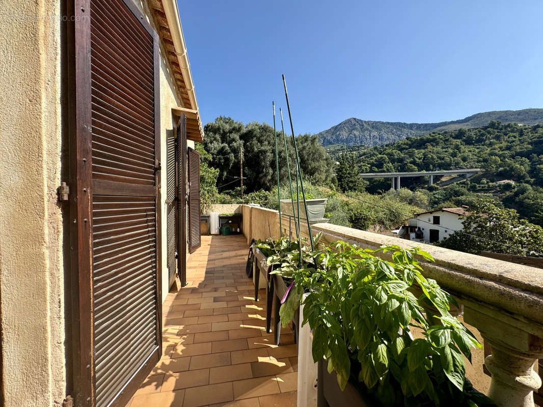 Maison à MENTON