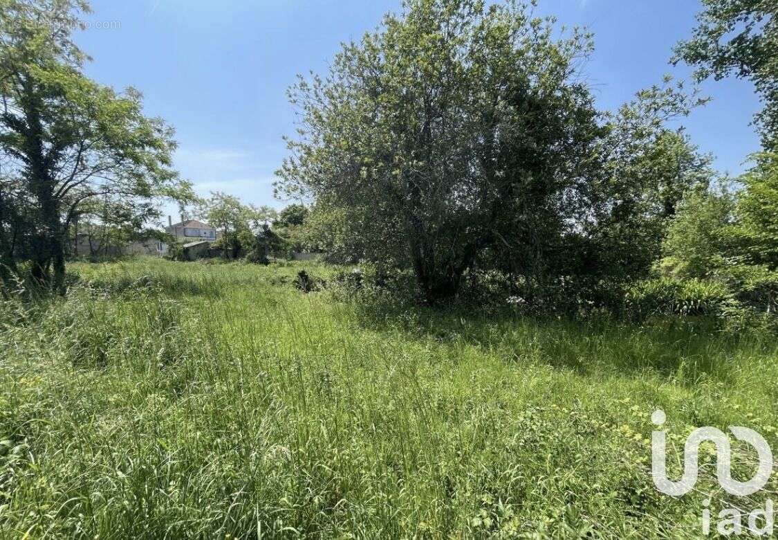 Photo 3 - Terrain à SAINT-CIERS-SUR-GIRONDE