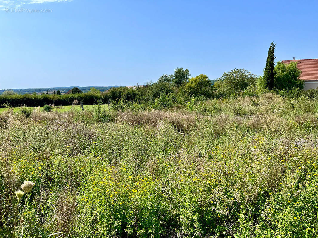 Terrain à SAINT-GEORGES-SUR-BAULCHE