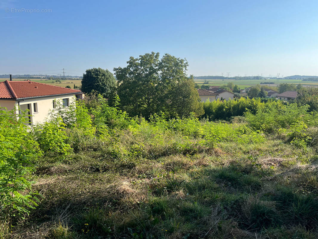 Terrain à SAINT-PIERRE-DE-CHANDIEU