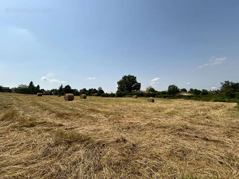 Terrain à CHAVEYRIAT