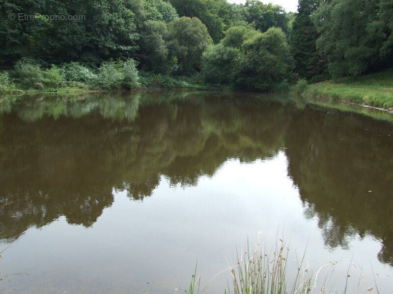 Terrain à CHAMPSAC