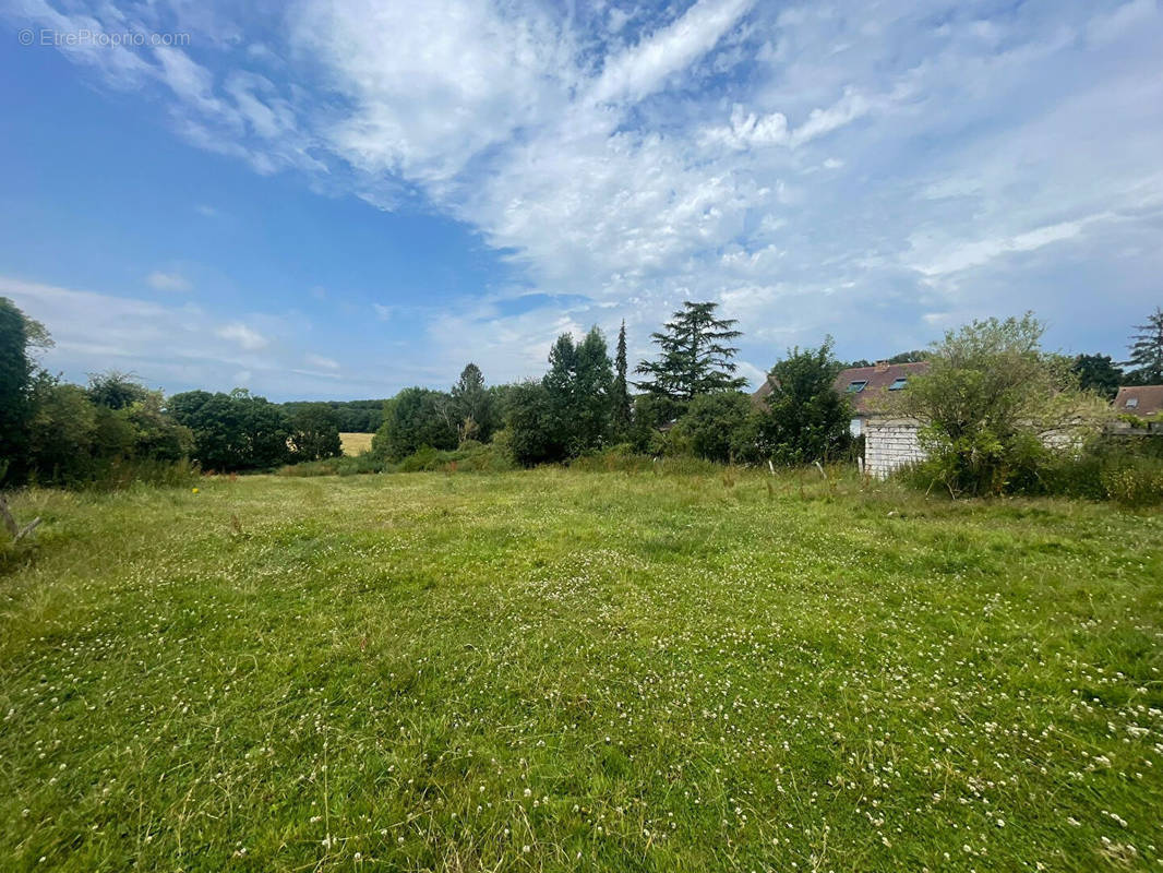 Terrain à JANVRY