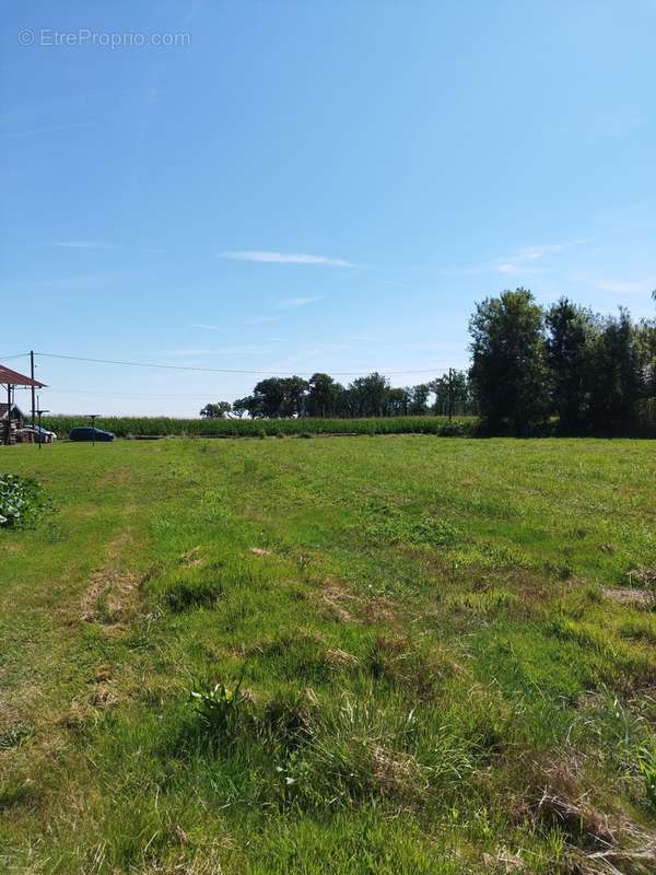 Terrain à CHARETTE-VARENNES