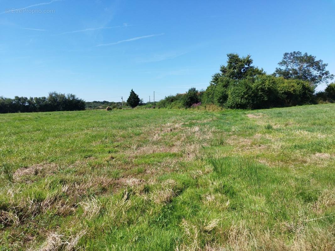 Terrain à CHARETTE-VARENNES